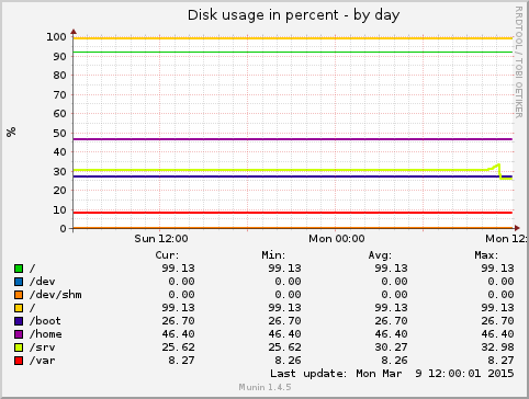 Disk usage in percent